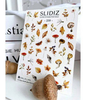 Слайдер Slidiz №239